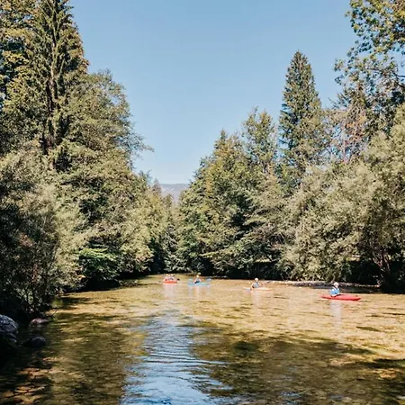 Riverview בוהין